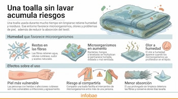 Infografía con ilustraciones de toallas, microorganismos y afecciones en la piel, acompañada de textos explicativos y el logo de Infobae.