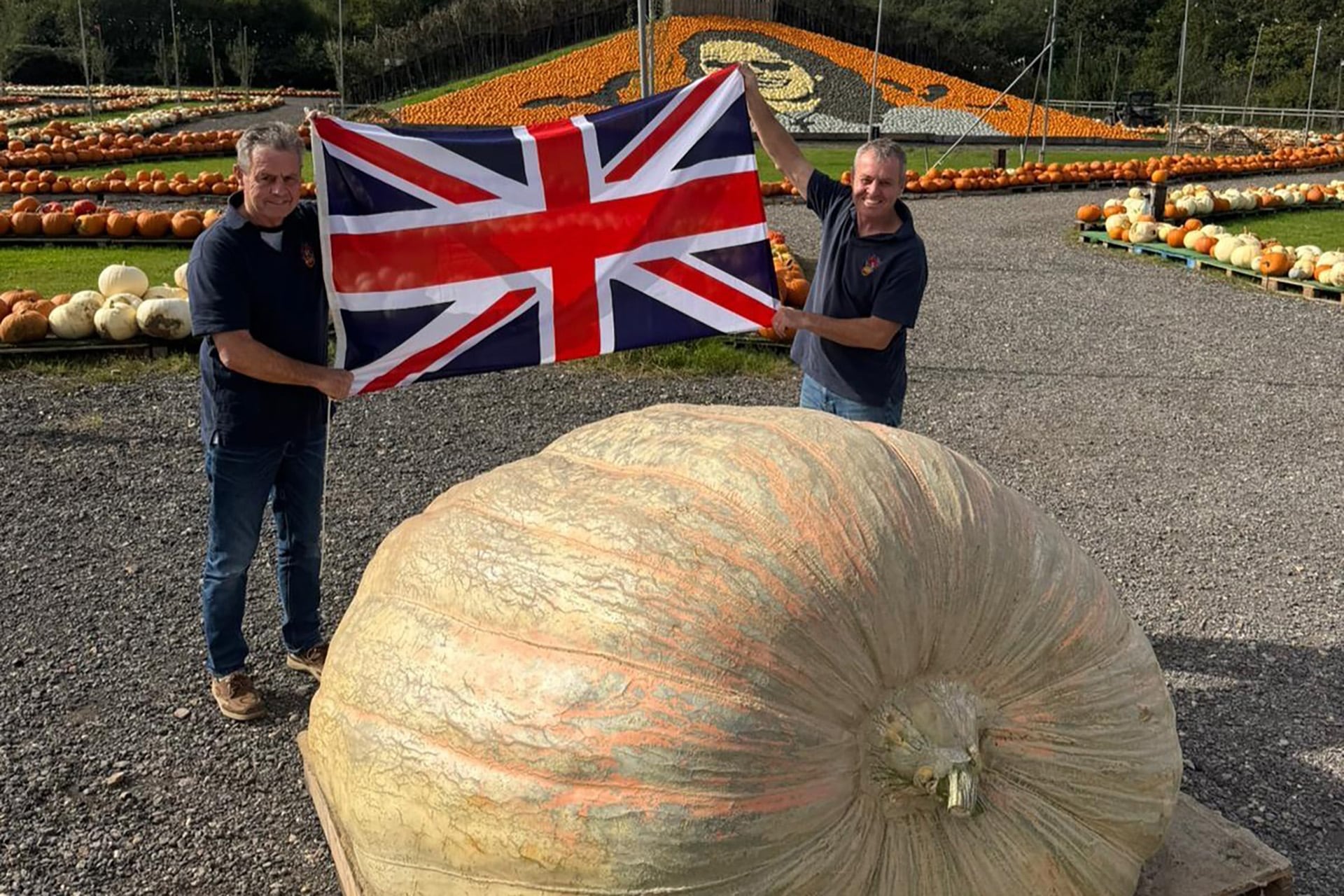 Bagheera superó por 17 kilos la marca mundial previa que los hermanos Paton alcanzaron con la calabaza Muggle