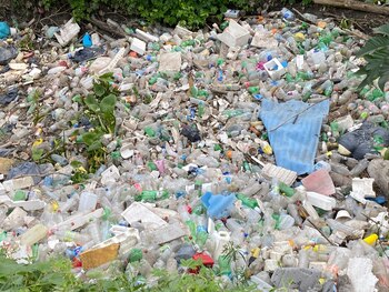 En cada incursión por los