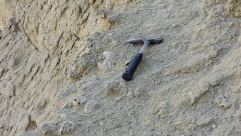 En Argentina, más que