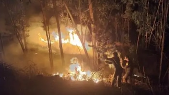 Áncash reporta 47 incendios forestales en lo que va de 2026: julio fue el mes más crítico y Jangas mantiene un foco activo
