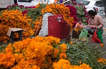 FOTO: ANDREA MURCIA /CUARTOSCURO