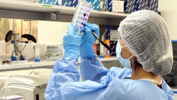 La variante EG.5 no solo