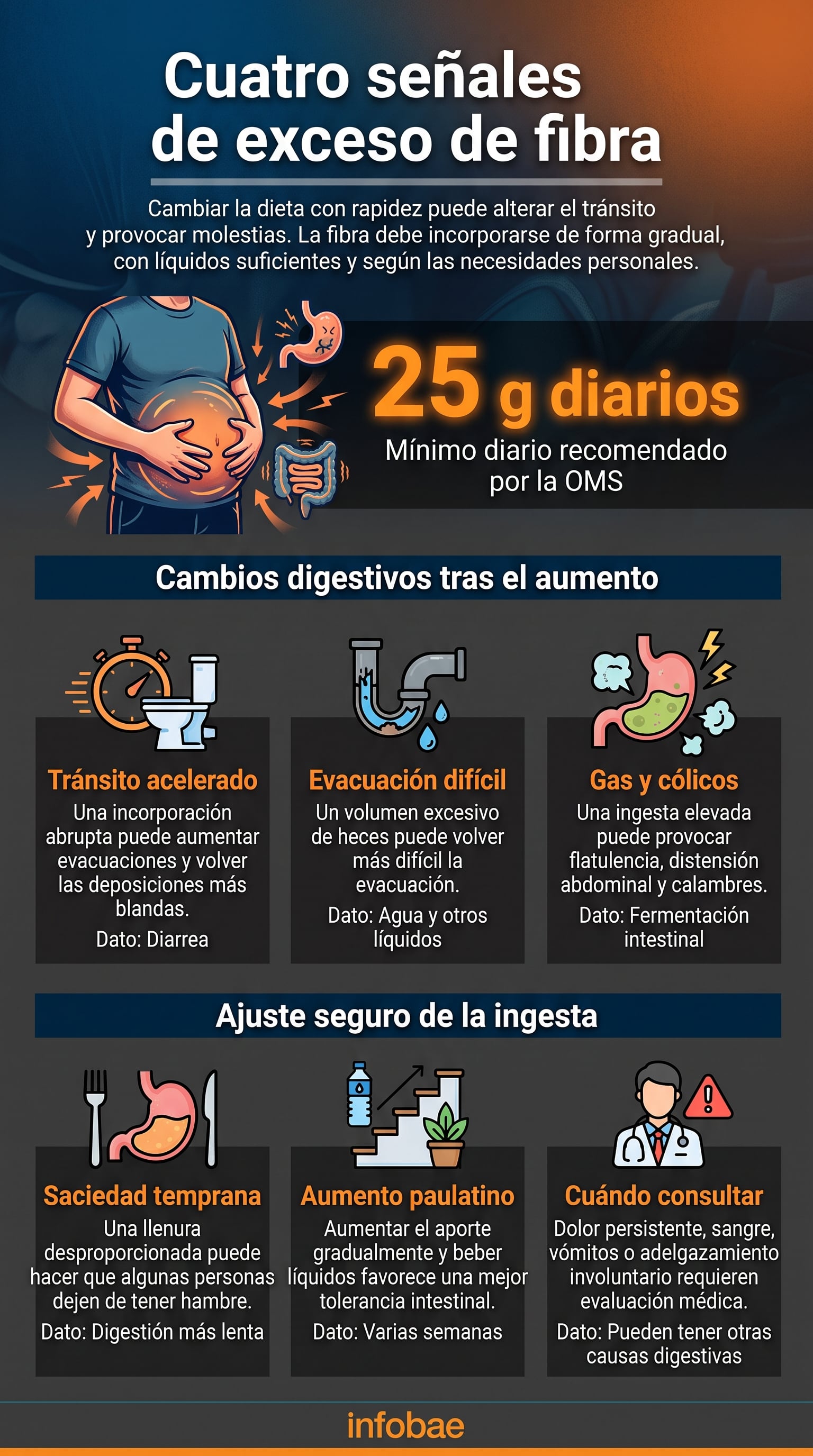 La Organización Mundial de la Salud recomienda al menos 25 gramos diarios de fibra natural. (Imagen Ilustrativa Infobae)