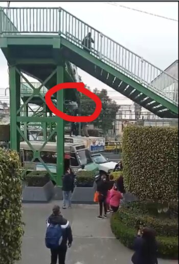 pesar de los esfuerzos desplegados