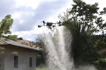 El monitoreo con drones permite la detección y control eficiente de la langosta en zonas críticas como La Masica, Atlántida y Yoro. (Foto cortesía SAG)