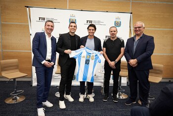 La diplomatura está compuesta de