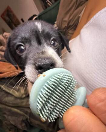 Desde que se enteraron de