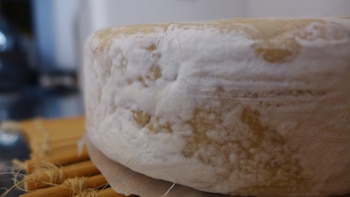 Respetar los tiempos de maduración