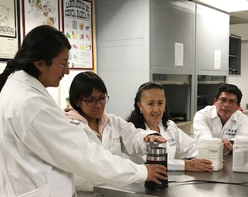 brownies-unam-mexico-02022021