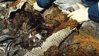 La víctima fue encontrada enterrada