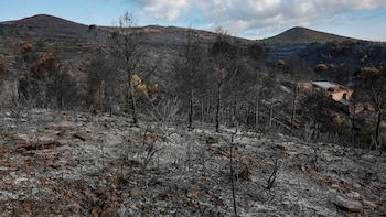 Descubren el cuerpo sin vida de un vecino de Gátova (Valencia) cuando los mil evacuados por el incendio de Serra Calderona volvían a sus casas