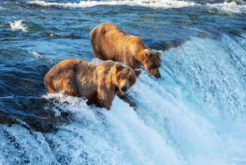 Operativos estatales en el suroeste