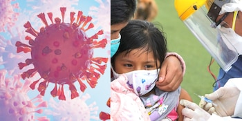 Influenza H3N2 subvariante K: confirman