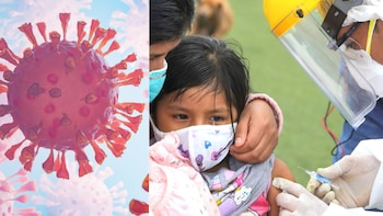 Detectan primer caso de influenza