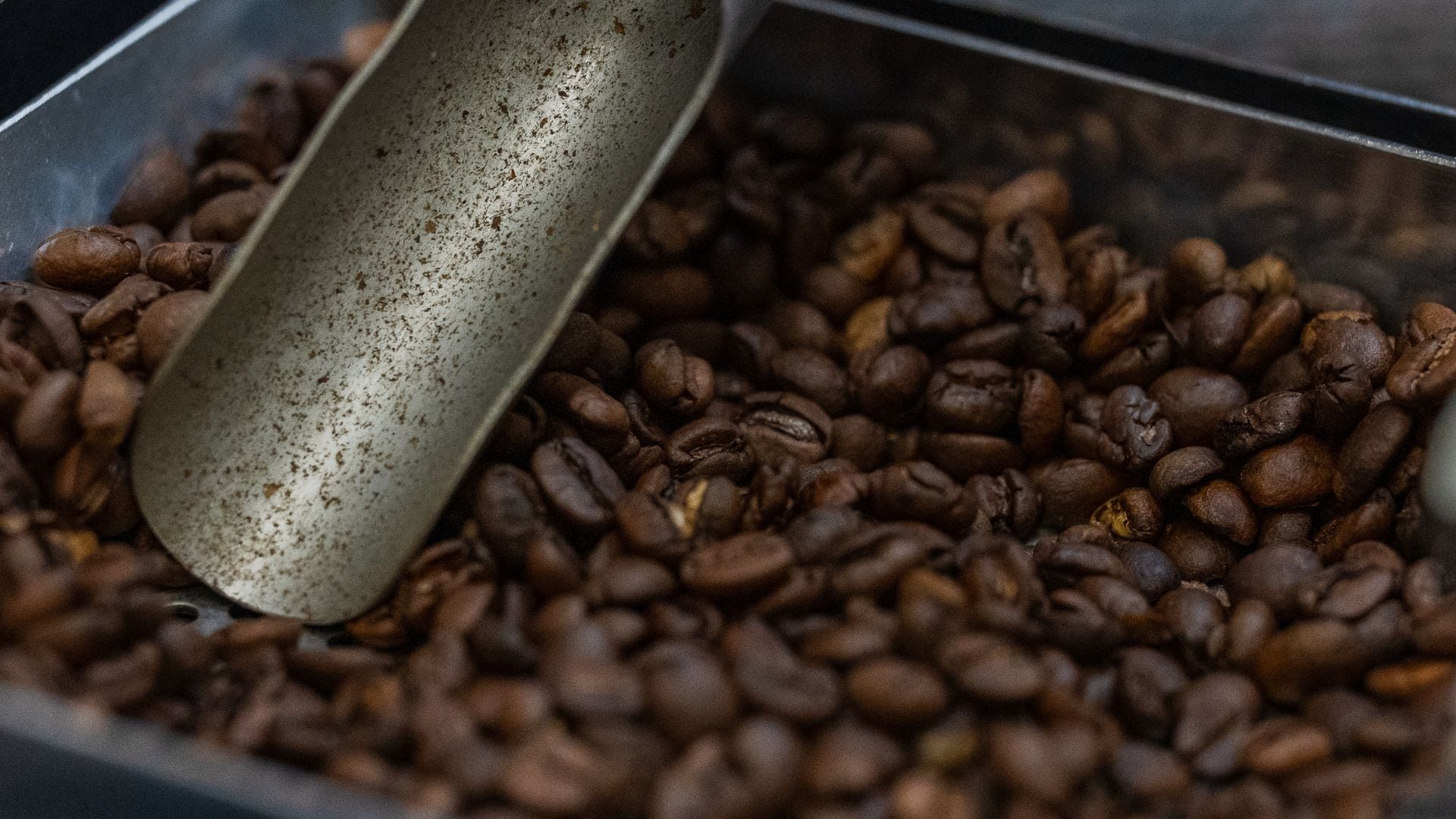La industria cafetera muestra una permanente evolución tanto en su producción como en el consumo de sus variedades (Nescafé)