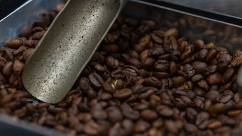 Primer plano de granos de café tostado en un recipiente metálico oscuro, con una pala de metal brillante y texturizada en la parte superior izquierda