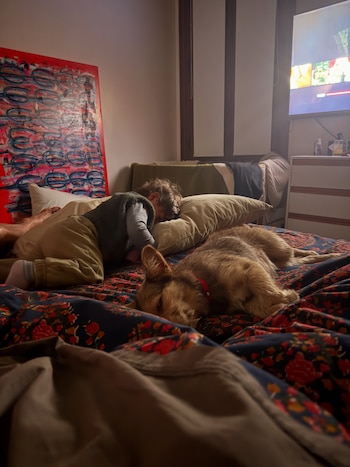 Un niño recostado en una almohada junto a un perro de pelaje castaño durmiendo sobre una cama estampada