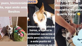 Las fotos que lo hicieron