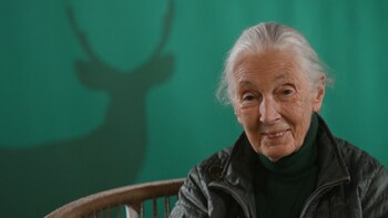 Jane Goodall: “Vendrán más enfermedades