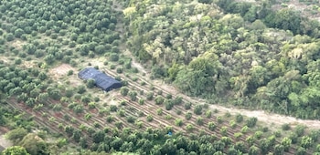 Vista aérea del terreno intervenido