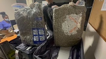 Las autoridades dominicanas incautaron casi 30 libras de marihuana en el aeropuerto Las Américas