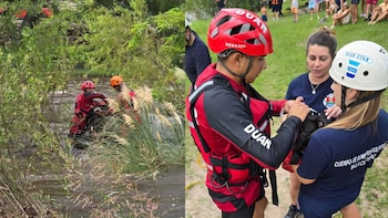 Un perro que había quedado