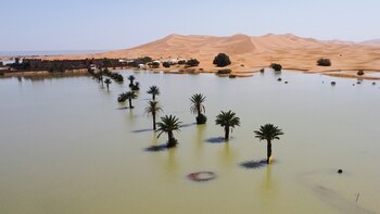 El desierto del Sahara como