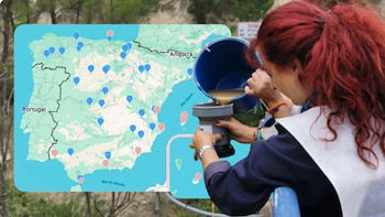 Cinco años de estudio demuestra