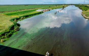 La escorrentía agrícola en Florida