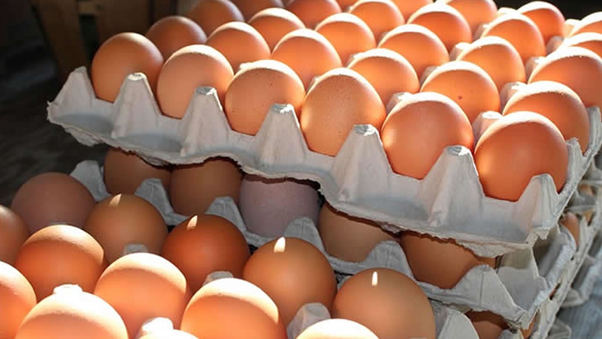 El sistema de comercialización de huevos que utilizan algunos supermercados puede traer consecuencias importantes en la salud pública - crédito Pixabay