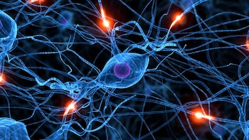 Una investigación publicada por la