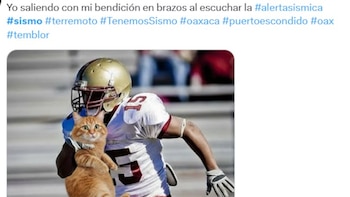 Los memes que dejó el