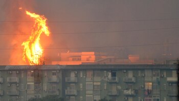 Las impactantes imágenes de los