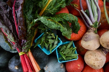 NYTSELECTS -- A selection of squash, okra, swiss chard and rutabega, photographed in New York in September 2026. It’s officially autumn in the United States, which means a seemingly endless bounty of apples, sweet potatoes, pumpkins and other seasonal staples. Yet other fall produce deserves a place in the limelight too, nutrition experts say. (Colin Clark/The New York Times)..