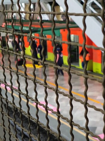 El servicio en la Línea