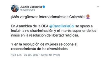 La representante a la Cámara Juanita Goebertus también se manifestó frente a la polémica declaración de la Cancillería en la OEA.