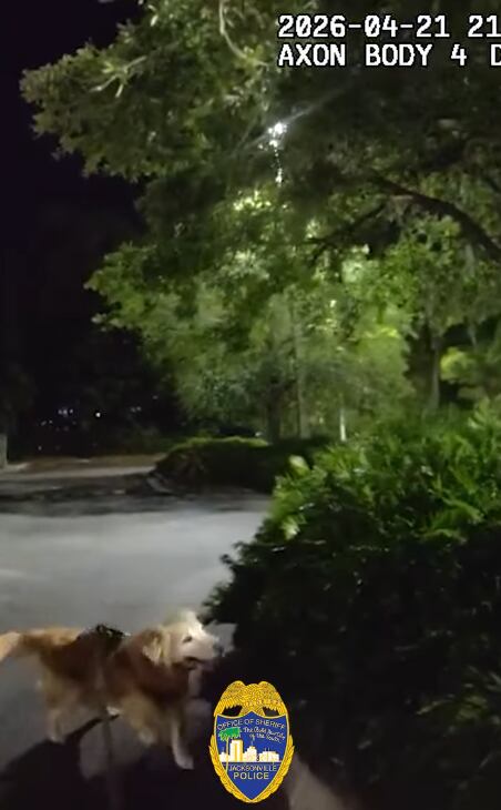El operativo se desplegó inmediatamente tras el reporte de desaparición, movilizando agentes y recursos especializados para localizar al joven (Jacksonville Sheriff's Office)