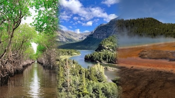 “El Niño” podría alcanzar una intensidad histórica y cambiar el clima de los parques nacionales más visitados de EE. UU.