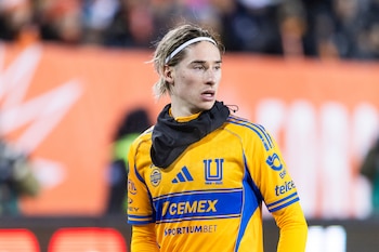 Tigres viene de no poder