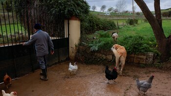 Qué zonas de Valencia tienen