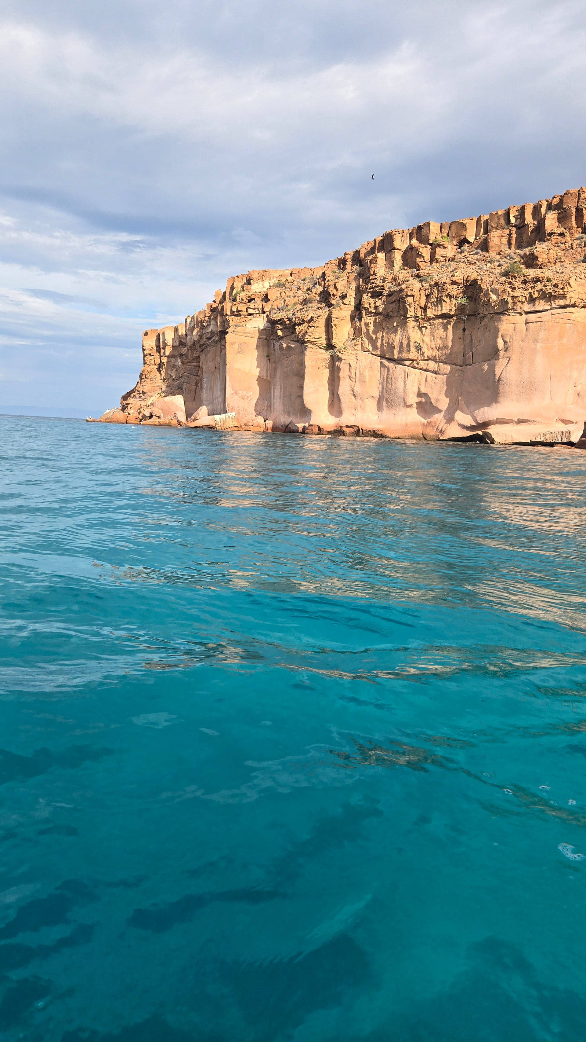 En el Mar de Cortés, donde se encuentra