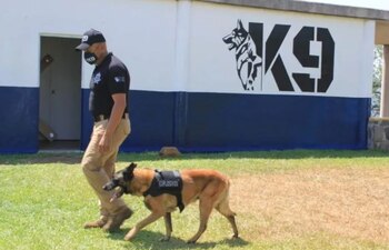 La certificación es otorgada por