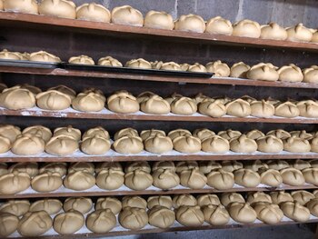 (Foto: Diana Zavala/Infobae México)