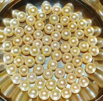 El Banco Ciudad difunde en