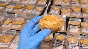 Australia sorprende con el hallazgo