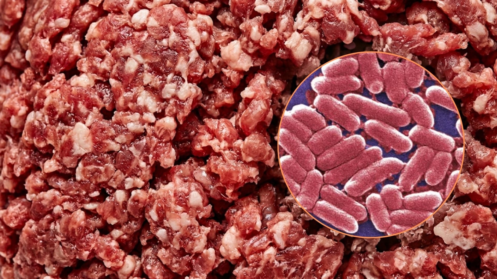 La carne picada expone a los consumidores a bacterias peligrosas como Salmonella, Listeria y Staphylococcus aureus, que resisten si la cocción es insuficiente