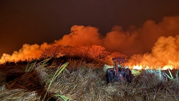 Costa Rica enfrenta una temporada crítica con 115 incendios forestales reportados en 2026