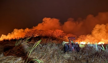 El área afectada por incendios forestales en 2026 supera las 10.000 hectáreas en Costa Rica. Crédito: MINAE