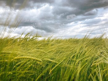 Imagen MS4PTV4RLJHYLLCSN73PHLKYWM